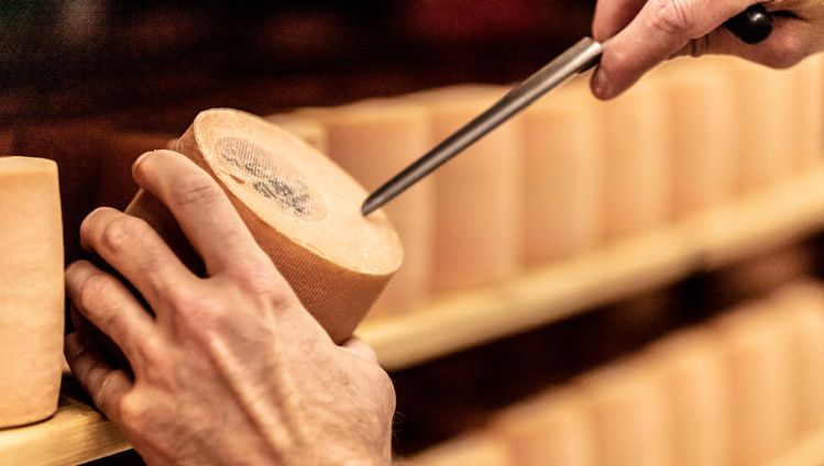 fromagerie-tdm-kaese-probe-stage