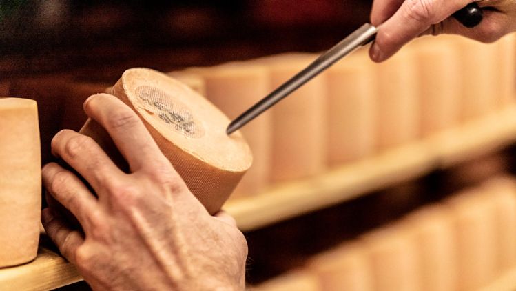 fromagerie-tdm-kaese-probe-stage