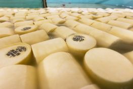 fromagerie-tdm-kaese-bad-stage